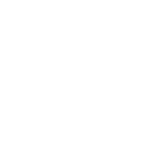 See Site Now Logo White