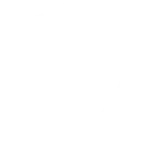 See Site Now Logo White